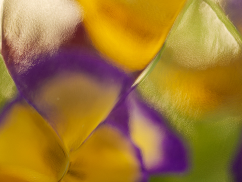 Exploring Abstractions with Glass